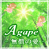 ���E�X�s���`���A�����k�T�C�g�ł��O�O